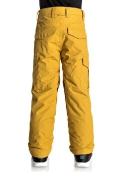 Winter Kids Clothing Store 38 Winter Kids Clothing Store -Winter Kids Clothing Store 20172018quiksilverboysporterpantmustardgoldb