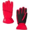 Spyder Girls Astrid Glove