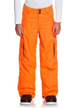 DC SHOES Boys Banshee Youth Pant