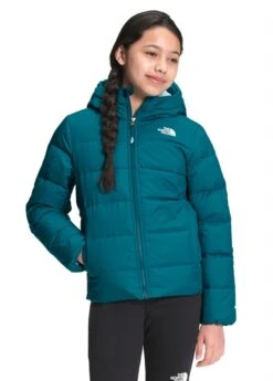 The North Face Youth Moondoggy Hoodie