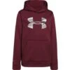 Under Armour Boy's Rival Hood