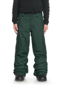 DC SHOES Boys Banshee Pant -Winter Kids Clothing Store edbtp03009 bansheeyouthpnt w gzf0 frt1