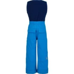 Spyder Toddler Boys Expedition Pant -Winter Kids Clothing Store fw22 195086 436 b