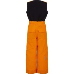 Spyder Toddler Boys Expedition Pant -Winter Kids Clothing Store fw22 195086 823 b