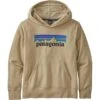 Patagonia Youth LW Graphic Hoody Sweatshirt - Youth
