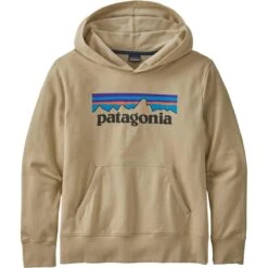 Patagonia Youth LW Graphic Hoody Sweatshirt - Youth
