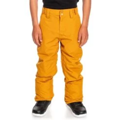 Quiksilver Estate Youth Pant -Winter Kids Clothing Store fw23 quiksilver boysestatepant buckthornbrown 1
