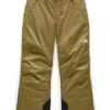 The North Face Freedom Insulated Pant - Boy's