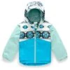 The North Face Toddler Snowquest Insulated Jacket - Youth