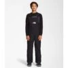 The North Face Teen Freedom Insulated Bib