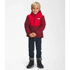 The North Face Youth Reversible Mount Chimbo Full Zip Hooded Jacket -Winter Kids Clothing Store nf0a7wp9 6r3 01 22 23