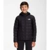 The North Face Boys ThermoBall Hooded Jacket
