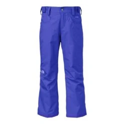 The North Face Freedom Insulated Pant - Girl's -Winter Kids Clothing Store vibrant blue the north face freedom insulated pant girl s 40149