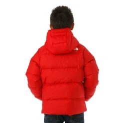 The North Face Boys Reversible North Down Hooded Jacket -Winter Kids Clothing Store wk.ww session 1 day 3 4139